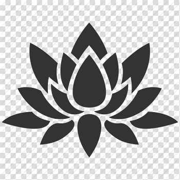 Lotus flower illustration, Nelumbo nucifera Flower Decal, Flower, Lotus, Nature, Plant, Water Plant Icon transparent background PNG clipart