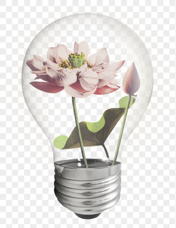 Lotus flower png light bulb | Free PNG - rawpixel