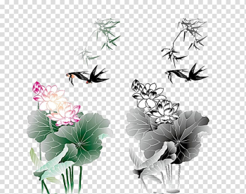Lotus Nelumbo nucifera Cdr, Lotus lotus leaf transparent background PNG clipart Lotus Nelumbo nucifera Cdr, Lotus lotus leaf transparent background PNG clipart