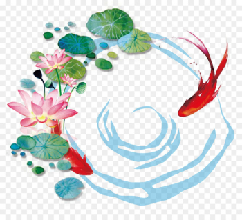 Lotus Pond Nelumbo nucifera - Water painted lotus leaves, carp pond 
