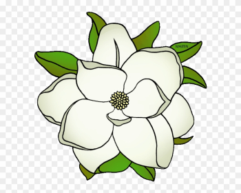 Louisiana State Flower - Magnolia Flower Clipart