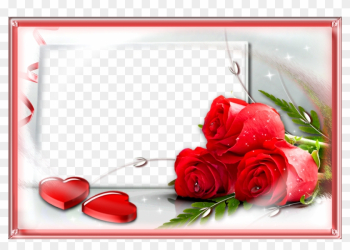 Love Frame With Red Png Rose - Love Photo Frames Png Love Frame With Red Png Rose - Love Photo Frames Png