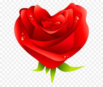 Love Heart Valentines Day - Rose Love Heart Valentines Day - Rose
