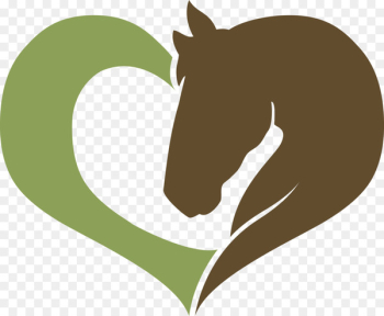 Love Horsemanship, Horse, Dressage Clinic, Squirrel, Leaf PNG