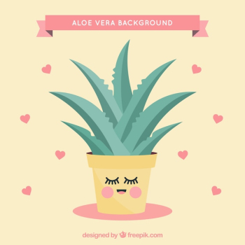 Lovely background of aloe vera flowerpot with hearts