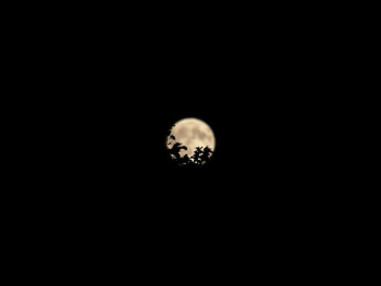low angle photography of moon low angle photography of moon