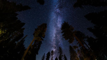 low angle photography of stars at night low angle photography of stars at night