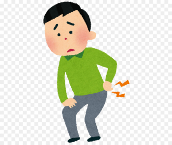 Low back pain Spinal disc herniation Seitai Chiropractic - Low back pain Spinal disc herniation Seitai Chiropractic -