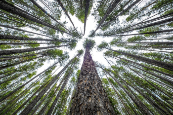 Lower Seymour Campground on Wisdom | Free Photo - rawpixel