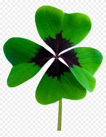 Luck Four Leaf Clover Png Image - Luck Four Leaf Clover Png Image