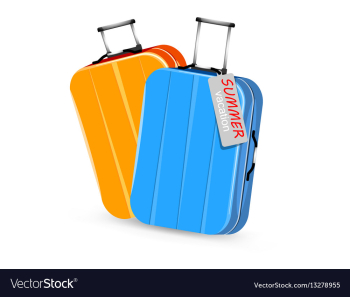 Luggage vector image Luggage vector image