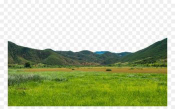 Lugu Lake Caohai Lake Yanyuan County Fukei Landscape - Lugu Lake Caohai Landscape five 