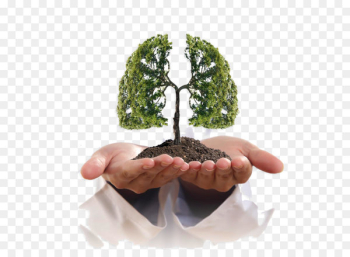 Lung cancer Smoking Symptom - Creative lungs Lung cancer Smoking Symptom - Creative lungs