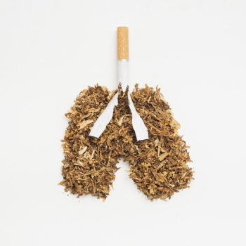 Lungs made from tobacco and cigarette on white backdrop Lungs made from tobacco and cigarette on white backdrop