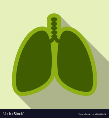 Lungs symbol breathing lunge exercise lung cancer vector image Lungs symbol breathing lunge exercise lung cancer vector image