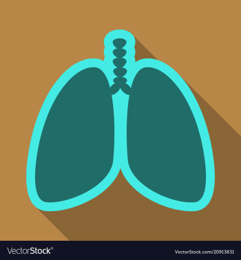 Lungs symbol breathing lunge exercise lung cancer vector image Lungs symbol breathing lunge exercise lung cancer vector image