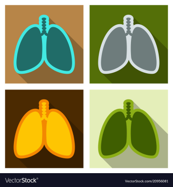 Lungs symbol breathing lunge exercise lung cancer vector image Lungs symbol breathing lunge exercise lung cancer vector image
