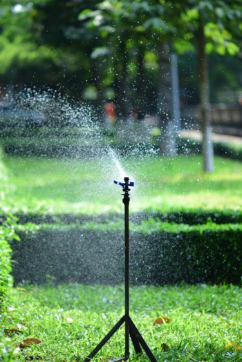 Lush Green Garden with Sprinkler Lush Green Garden with Sprinkler