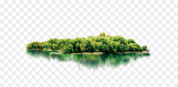 Lush island Lush island