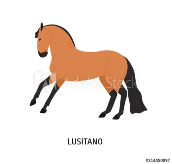 Lusitano horse flat vector illustration Lusitano horse flat vector illustration