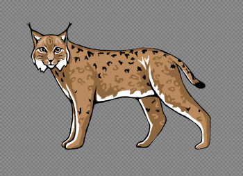 Lynx Transparent Images Lynx Transparent Images