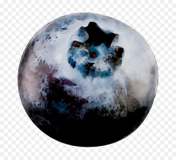 /m/02j71 Earth - /m/02j71 Earth -