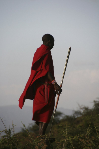 Maasai man in red robe, | Free Photo - rawpixel Maasai man in red robe, | Free Photo - rawpixel