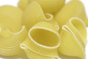 Macaroni Pasta Macaroni Pasta