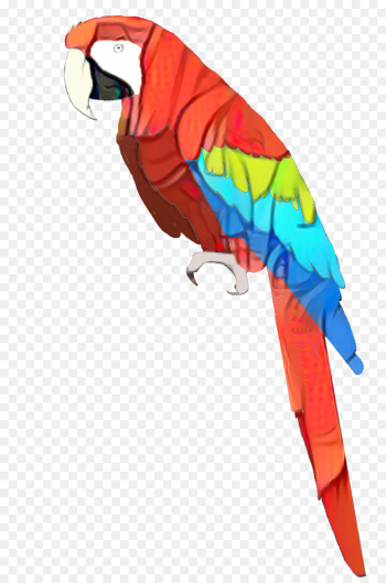 Macaw, Parakeet, Beak, Bird PNG Macaw, Parakeet, Beak, Bird PNG