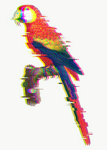 Macaw with glitch effect sticker overlay | Free transparent png - 2350609 Macaw with glitch effect sticker overlay | Free transparent png - 2350609