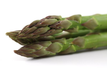 Macro Photo of Asparagus Macro Photo of Asparagus