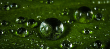 Macro Photography of Waterdrops Macro Photography of Waterdrops