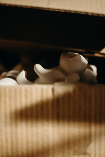 Macro Photography of White Toy in Brown Box Macro Photography of White Toy in Brown Box