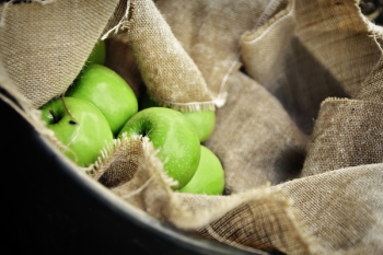 Macro Shot Photo of Green Apples Macro Shot Photo of Green Apples
