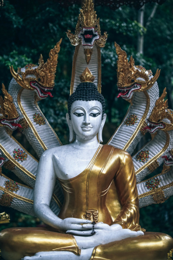 Macro Shot Photography of Gautama Buddha Figurine