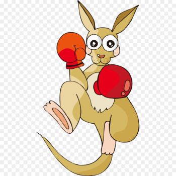 Macropodidae Kangaroo Cartoon Illustration - Boxing cartoon Kangaroo 