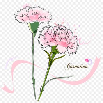 Madonna of the Carnation Vector graphics Image Portable Network Graphics - bouquet of carnation 