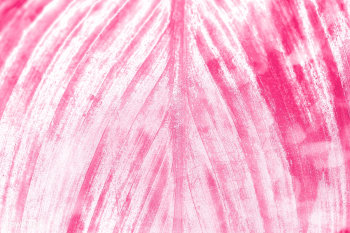 Magenta pink leaf textured magenta background | Free illustration - 2344807 Magenta pink leaf textured magenta background | Free illustration - 2344807