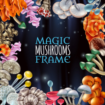 Magic mushrooms frame background Free Vector Magic mushrooms frame background Free Vector