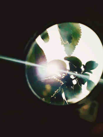 Magnifying Glass Magnifying Glass