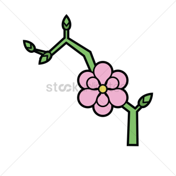 Magnolia Magnolia