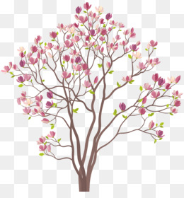 Magnolia Tree PNG - Southern Magnolia Tree. Magnolia Tree PNG - Southern Magnolia Tree.
