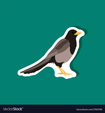 Magpie paper sticker on stylish background vector image