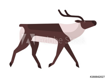 Majestic deer, reindeer flat vector illustration