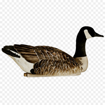 Mallard Goose Avian-X Decoy Duck - Mallard Goose Avian-X Decoy Duck -