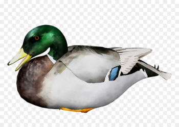 Mallard Product design Fauna - Mallard Product design Fauna -