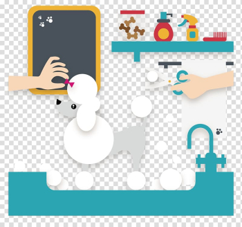 Maltipoo Goldendoodle Dog grooming Pet, White dog transparent background PNG clipart Maltipoo Goldendoodle Dog grooming Pet, White dog transparent background PNG clipart