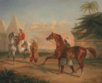Mameluke purchasing an Arabian stallion | Free Photo - rawpixel Mameluke purchasing an Arabian stallion | Free Photo - rawpixel