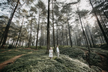 man and woman inside forest man and woman inside forest