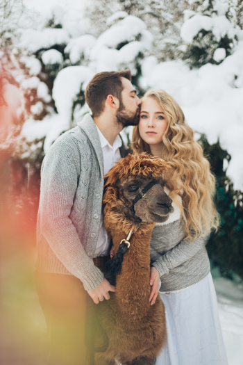 Man And Woman Standing Next To Brown Animal Man And Woman Standing Next To Brown Animal
